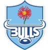Vodacom Blue Bulls XV