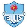 Blue Bulls U20