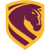 Brisbane Broncos