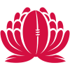 New South Wales Waratahs