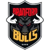 Bradford Bulls