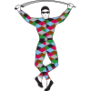 Harlequin