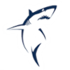 Tasman Union