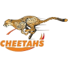 Cheetahs