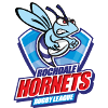 Rochdale Hornets