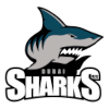Dubai Sharks