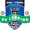 Gady Raika Lebring