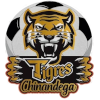 Tigres de Chinandega