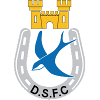 Dungannon Swifts II