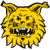 Ilves U21