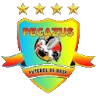 Pegazus U20