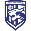Wuhan Three Towns U20