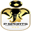 P Sports Academy