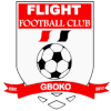 Flight