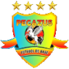 Pegasus U20