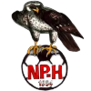 Nilsian Pallo-Haukat