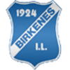 Birkenes U19