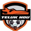 Teluk Mou
