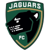Michigan Jaguars II (Women)