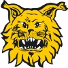 Ilves IV