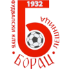 Borac Lesnica