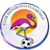 Flamengo Cucuta U19