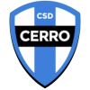 Cerro Vergara
