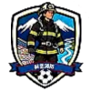 Fire Brigade