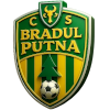 Bradul Putna