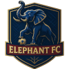 Elephant Juba