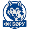 Bory