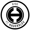 Haderslev 6100