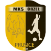 Orzel Prusice II