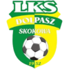 Dolpash Skokova