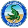 Swallow