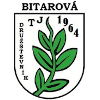 Druzstevnik Bitarova U19