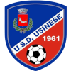 Usinese