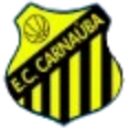 Carnauba