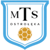 MTS Elektro-Energetyka