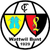 Wattwil Bunt 1929