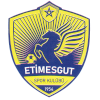 Etimesgutspor