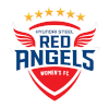 Hyundai Steel Red Angels (Women)