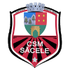 Precizia Sacele