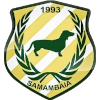 Samambaia