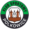 Gornik Polkowice