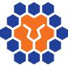 Queensland Lions
