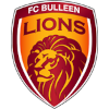 Bulleen Lions