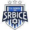 Sokol Srbice