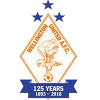 Wellington United Diamonds (Women)
