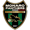 Monaro Panthers